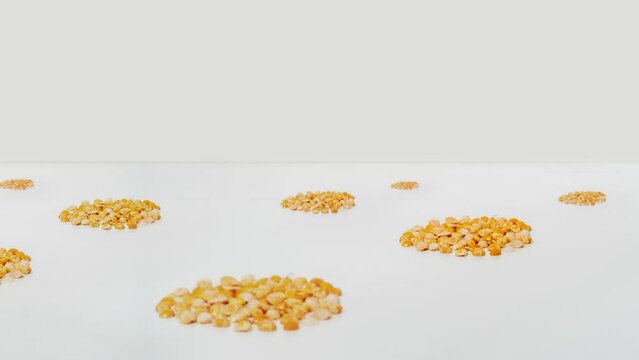 Polished Split peas is appear in groups