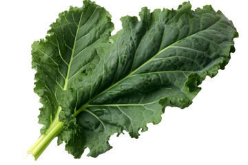 Kale leaf. isolated object, transparent background - obrazy, fototapety, plakaty