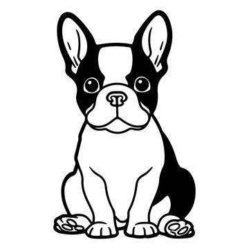 Boston Terrier, hand drawn cartoon character, dog icon.