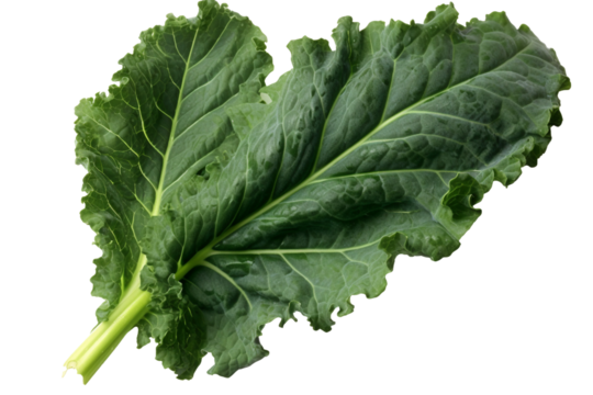 Kale leaf. isolated object, transparent background