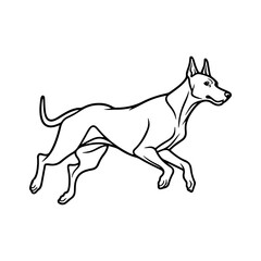 Doberman, hand drawn cartoon character, dog icon.