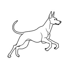 Fototapeta premium Doberman, hand drawn cartoon character, dog icon.