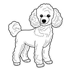 Poodle, hand drawn cartoon character, dog icon.