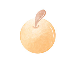  Orange is fruit illustrations 
