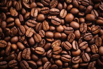 Fototapeta premium Coffee beans closeup background