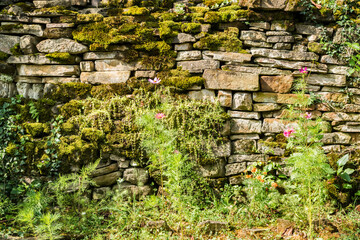 Old stone wall of country house on sunny summer day as stone background