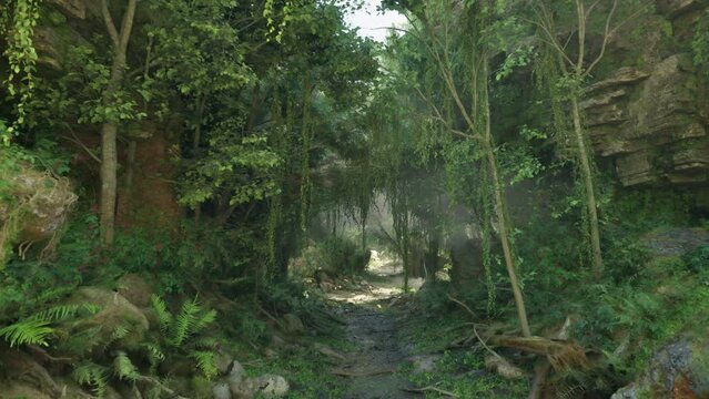 A dirt path surrounded by trees and rocks