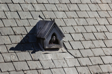 old house roof