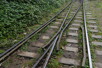 Fototapeta premium Alishan Forest Railway in Taiwan