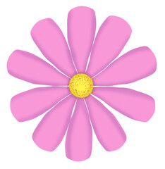 Pink flower with yellow center