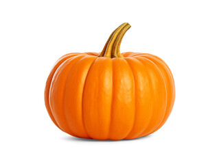 Pumpkin isolated on transparent or white background, png - obrazy, fototapety, plakaty