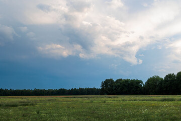 Fototapeta premium A meadow at the edge of the forest with dramatic cloudy sky in thunderstorm mood