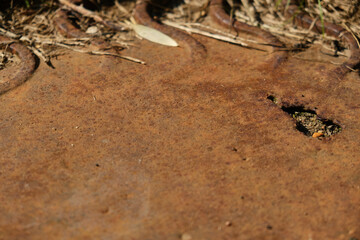Dark worn rusty metal texture background