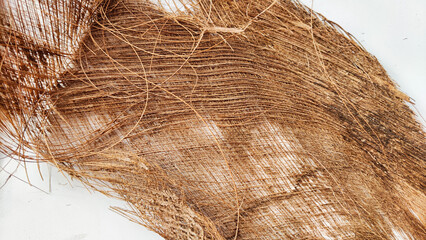 Brown dry palm tree trunk from jungle with interesting texture, background, details. Abstract background, frame and copy space