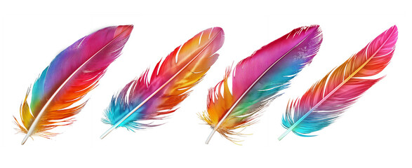 Set of colorful feathers isolated on transparent or white background, png