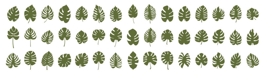 Set of leaf silhouette elements. Collection of monstera silhouettes on isolated background. Vector illustration © BraveSpirit