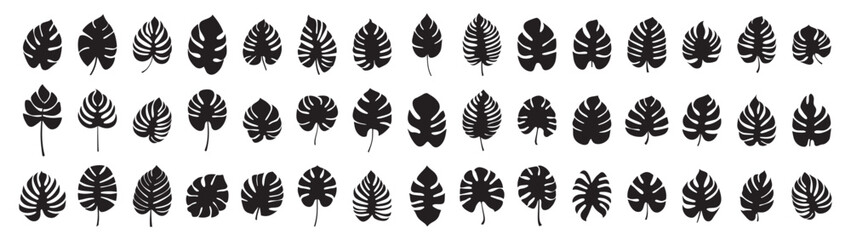 Set of leaf silhouette elements. Collection of monstera silhouettes on isolated background. Vector illustration