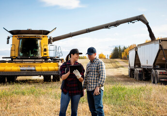 Farm couple uses tablet and cell while combine offloads canola harvest into truck, Alberta, Canada