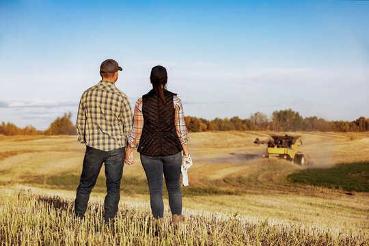 Farm couple standing in a field watching a combine finish their canola harvest, Alberta, Canada