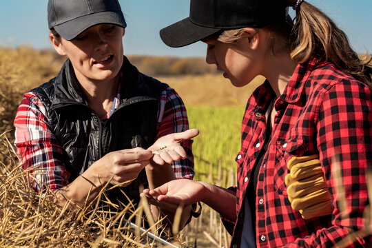 A woman farmer sitting in the fields teaching her apprentice about modern farming techniques for canola crops using wireless technologies and agricultural software; Alcomdale, Alberta, Canada