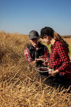 A woman farmer sitting in the fields teaching her apprentice about modern farming techniques for canola crops using wireless technologies and agricultural software; Alcomdale, Alberta, Canada