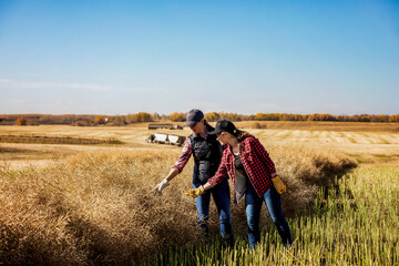A woman farmer standing in the fields teaching her apprentice about modern farming techniques for canola crops using wireless technologies and agricultural software; Alcomdale, Alberta, Canada