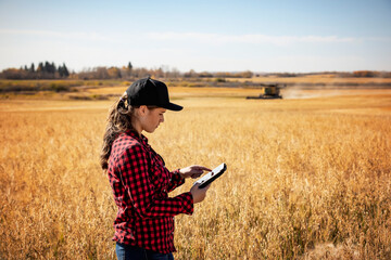 A young farm woman standing in a grain field at harvest time, using advanced agricultural software technologies on a pad, while a combine works in the background; Alcomdale, Alberta, Canada