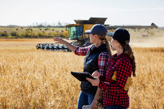 Woman farmer teaching apprentice advanced farming technologies during grain harvest, Alberta, Canada