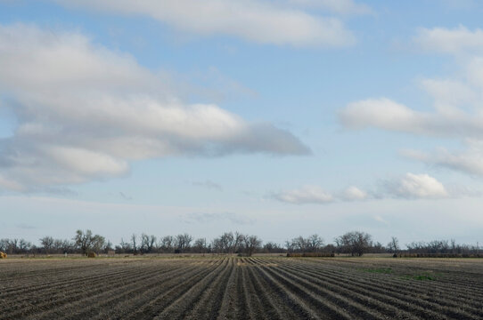 Furrows in a field at Rowe Audubon Sanctuary in Gibbon, Nebraska, USA; Gibbon, Nebraska, United States of America