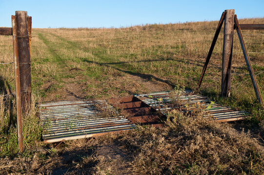 Cattle gate on a farm; Valparaiso, Nebraska, United States of America