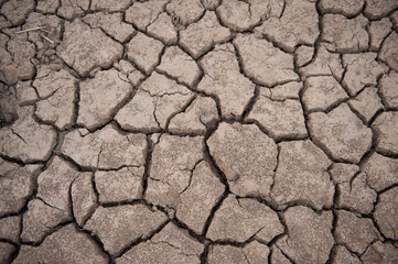 Close-up of the dry parched land in a drought; Nebraska, United States of America