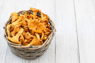 Cantharellus Cibarius, chanterelle mushrooms yellow on chalkboard
