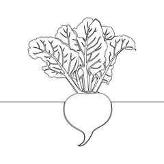 Continuous line drawing whole healthy organic beetroot vegetable icon vector illustration concept