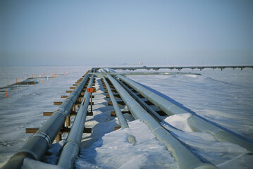 Stretch of the Trans-Alaskan Pipeline; Prudhoe Bay, Alaska, United States of America