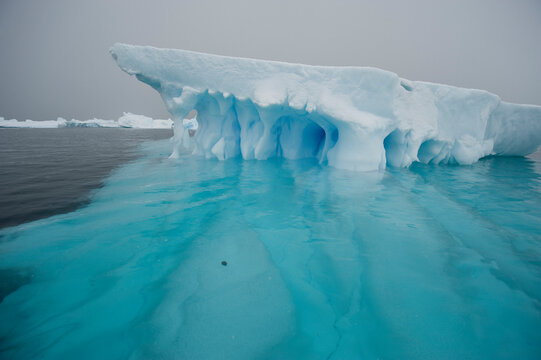 Blue ice on the Antarctic Peninsula on the edge of Antarctic Sound; Antarctic Peninsula, Antarctica