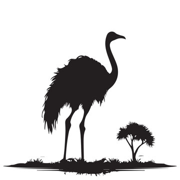 recommend clip art: An Ostrich silhouette vector Illustration