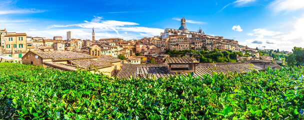 Siena town with view, Italy, Europe. 