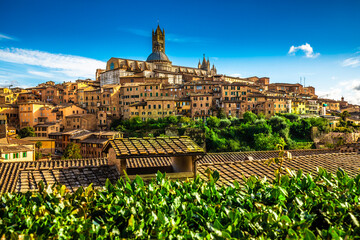 Siena town with view, Italy, Europe.  - obrazy, fototapety, plakaty