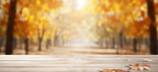 Naklejka na ściany i meble Empty old white Wooden tabletop in front of maple trees in autumn blurred background