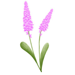 Fototapeta premium Flower 