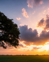 Fototapeta premium sunset over the field