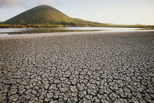 Plain of dry, cracked mud leads to a small green hill; Floreana Island, Galapagos Islands, Ecuador
