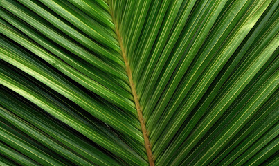Palm leaf wallpaper. Tropical leaves background. For banner, postcard, book illustration. Created with generative AI tools