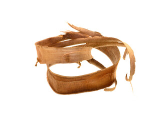 wood shavings isolated on white background