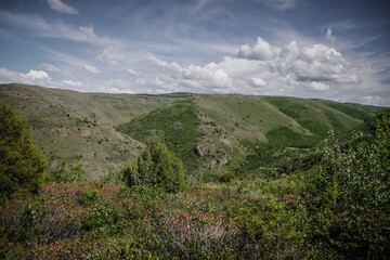 Rolling green hillsides in Sawtooth National forest south of Twin Falls Idaho  with sunny skies