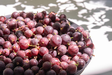 Gooseberries in a plate on the table. Vitamin summer food. Berry harvest top view. Pink berries on white background with shadow.