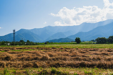 夏の安曇野　牧草のある風景