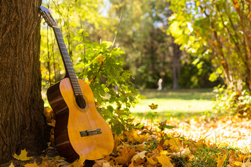 Autumn background with yellow leaves in the park and with a guitar.