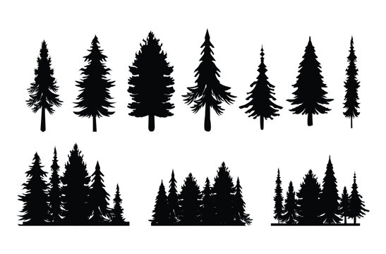 Vintage different pine trees and forest silhouettes set isolated on white background vector illustration