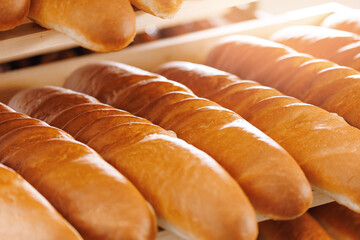 Closeup fresh bread with golden crust on store shelves, sunlight